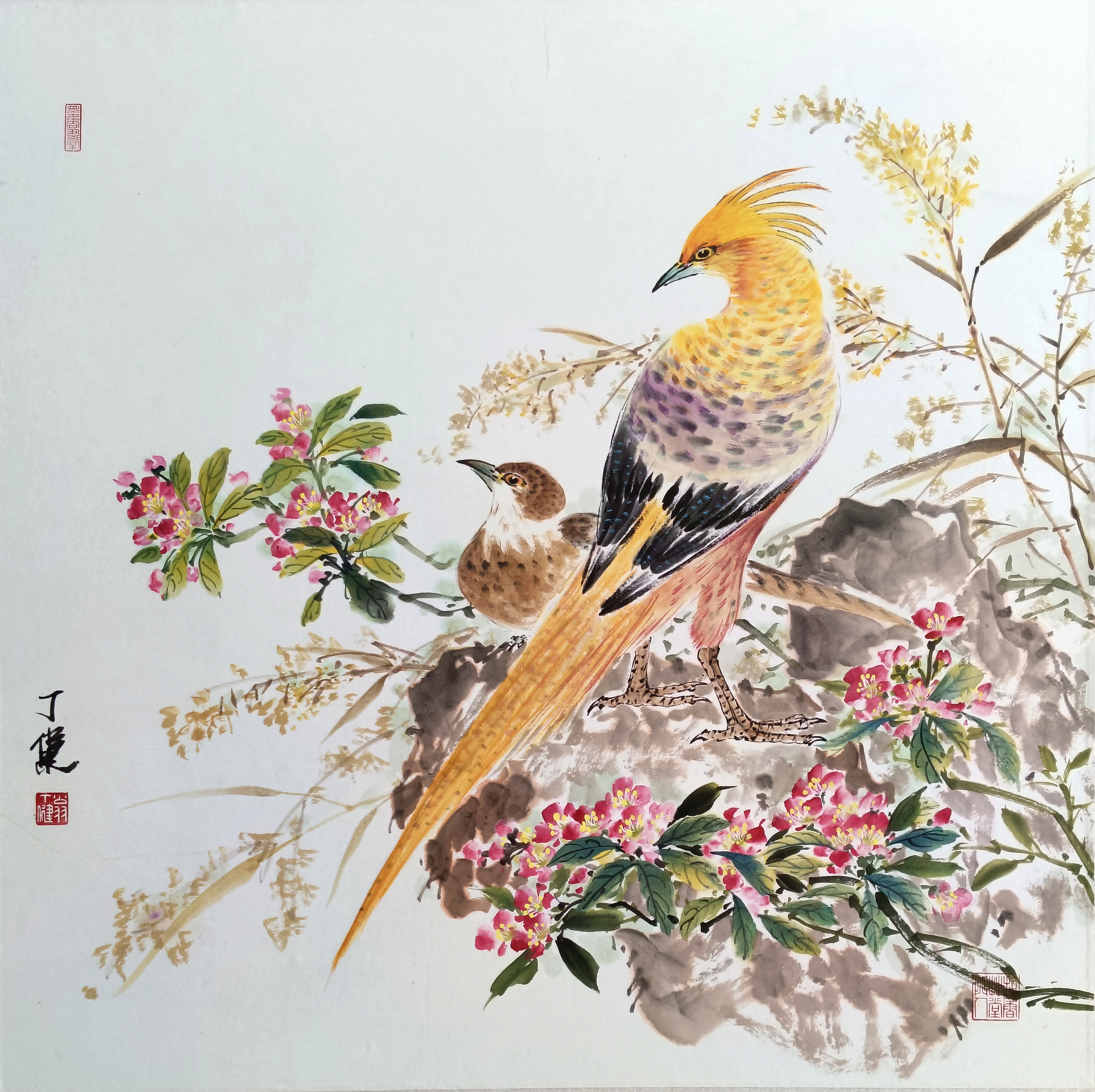 金鸡报喜